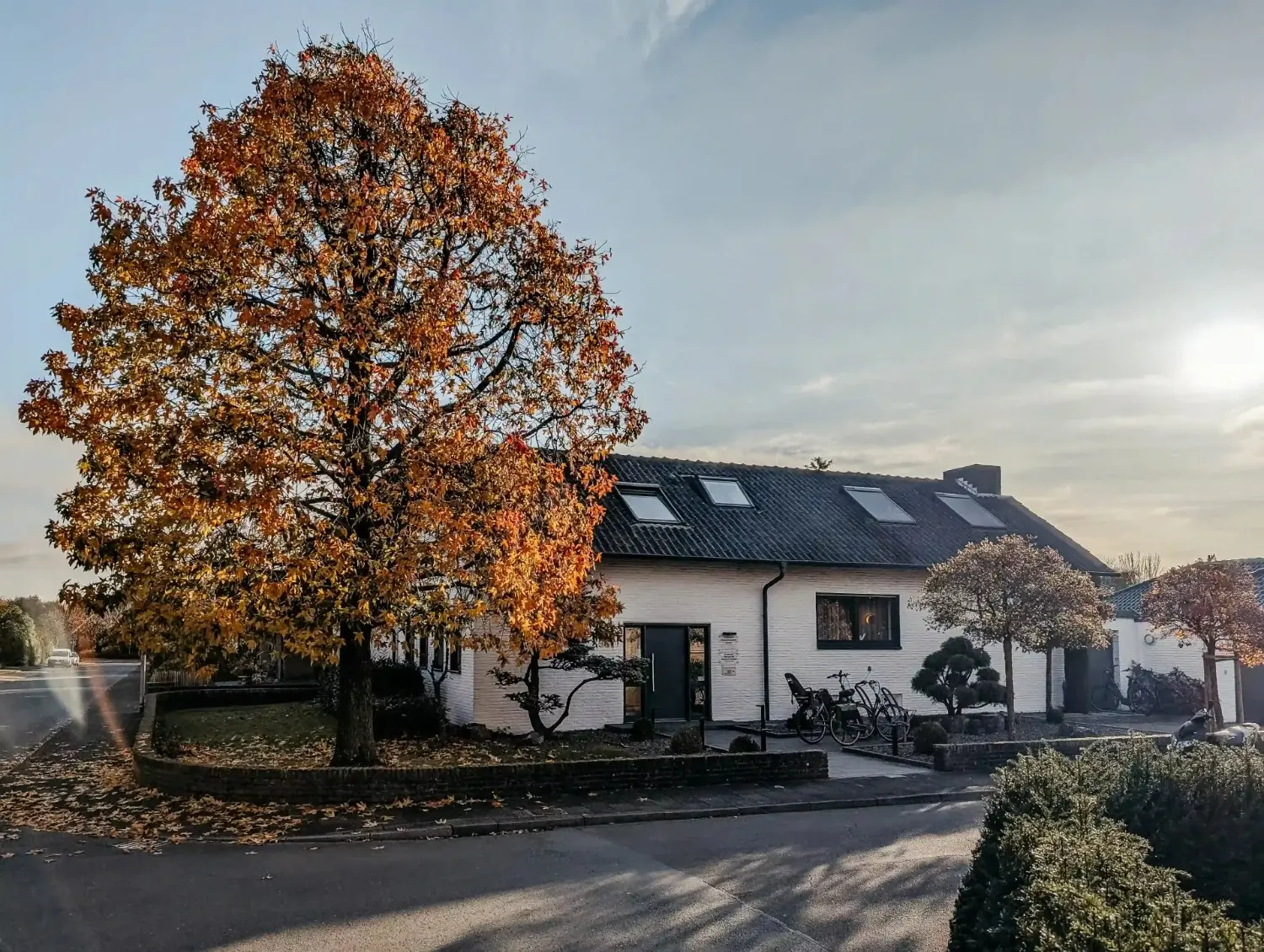Herbstlicher Baum vor Haus